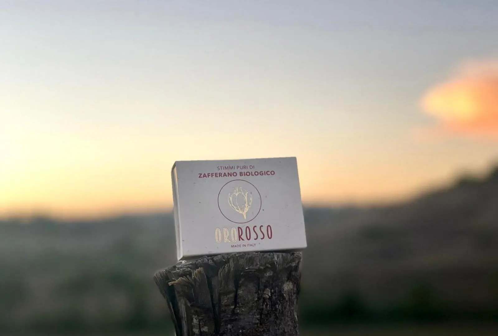Agriturismo La Terrazza Sul Mangia Siena Italien