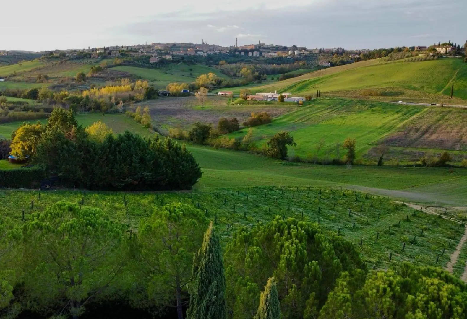 Agriturismo La Terrazza Sul Mangia Siena Apartment