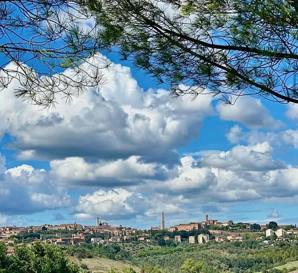 Apartment Agriturismo La Terrazza Sul Mangia Siena